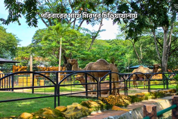পরিবারের সাথে মিরপুর চিড়িয়াখানায় - GoArif