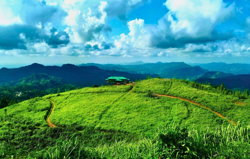 ময়মনসিংহ বিভাগ - কুহুডাক